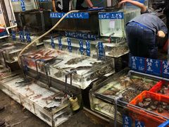 水产区-鲜入围煮花胶鸡海鲜火锅