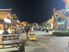 -祥源·阜阳生态乐园