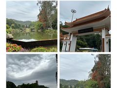 -深圳市中科院仙湖植物园