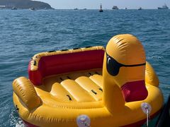 -小猫钓鱼海钓俱乐部(椰梦长廊店)