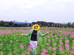 -映月湖中央公园