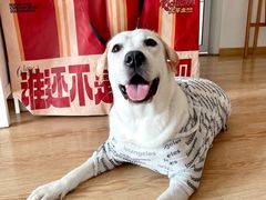 -大芊金重庆串串火锅(南京路店)
