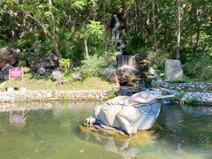 -大连天门山国家森林公园