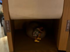 -涨巢·潮玩水疗局