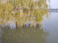 -济南国际园博园
