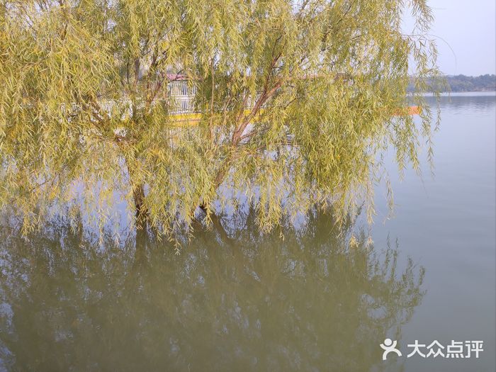 济南国际园博园图片