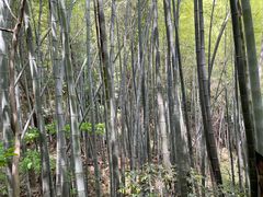 -敬亭山风景名胜区