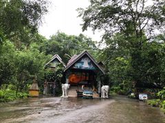 -莫里热带雨林景区
