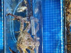 -前王院•巧克力海鲜市集餐厅(万平口店)