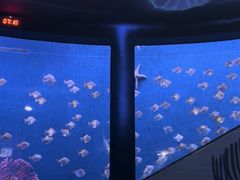 -沈阳海洋探索中心