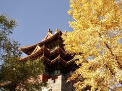 -东华门大街小区