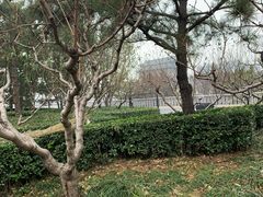 -德胜公园