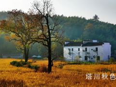 -塔川景区