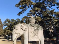 -清西陵