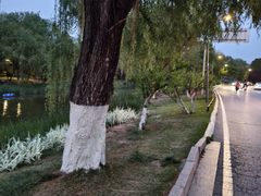 -云龙湖旅游景区