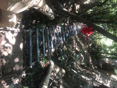 -牛鱼嘴原始生态风景区