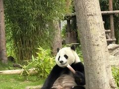 -南昌动物园