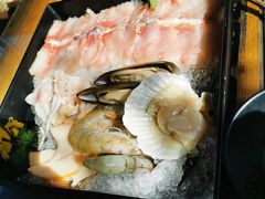 扇贝-丽江庭院之爱在路上(西单店)