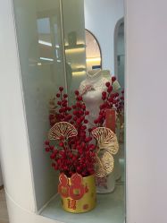 -JUVA欧华医美连锁