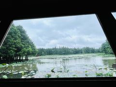 -苏州东太湖生态园