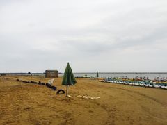 -碧海金沙
