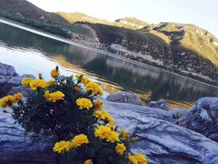 -天鹅湖生态旅游风景区