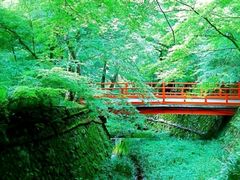 -大理洱源西湖景区