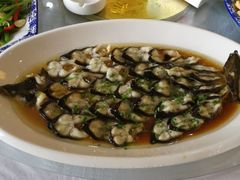 -呼吸森林·生态农庄农家乐私房菜