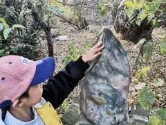 -爱新觉罗皇家博物院