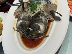 -一麦·龙岛(上海青浦店)