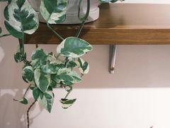 -稻田秋(怡美广场店)