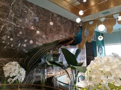 店内布置-雀蓝川菜(奥体广场店)