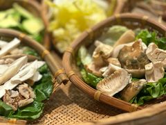 -滇野云南野生菌餐厅(陕西南路店)