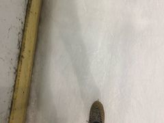 -冠军冰场CHAMPION RINK(百联又一城店)