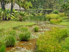 -中国科学院西双版纳热带植物园