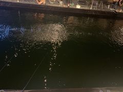 -DGE季风钓虾营地·团建·聚会