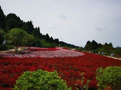 -中国香山·寿香谷