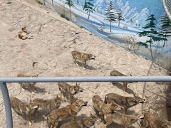 -西霞口神雕山野生动物世界