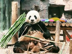 -栾川竹海野生动物园