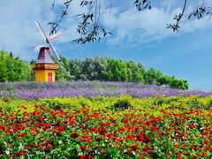 -北纬44度·金珠花海休闲农业旅游景区