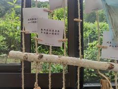 -北仑森林植物园