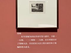 -四川美术馆