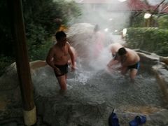 -金孔雀温泉旅游度假村