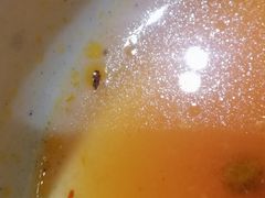 -野山舂·贵州现舂酸汤火锅(鸿通城店)