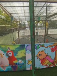 点击看大图 -萌宠亲子动物乐园(槐房万达店)