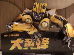 -武商摩尔影城(国广IMAX激光店)