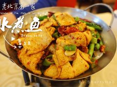 干锅千叶豆腐-红京鱼(西坝河店)