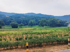 -北高峰