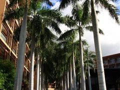 -三亚亚龙湾红树林度假酒店