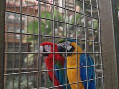 -南宫五洲植物乐园